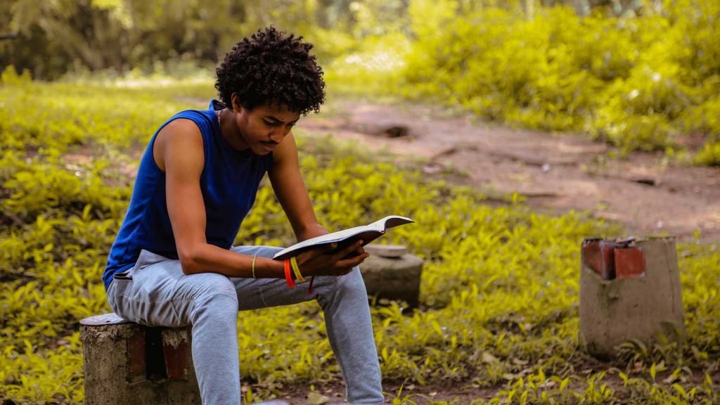3-Books-to-Help-You-Train-Your-Brain-and-Learn-More-Creatively-on-nextreading-online