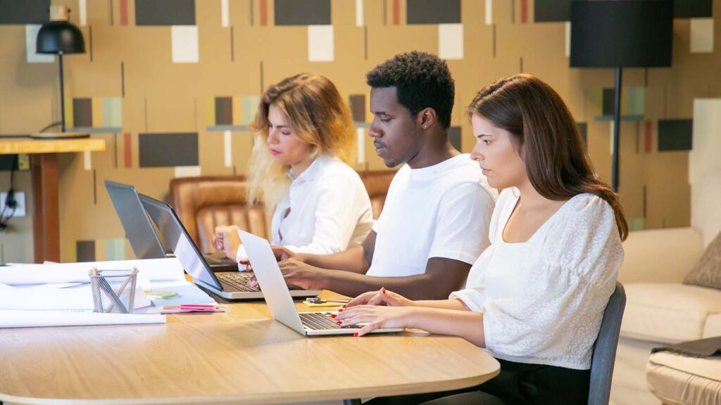 How Can Affordable Web Development Cater To Businesses Of All Sizes on nextreading